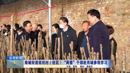 南城街道組織村（社區(qū)）“兩委”干部赴芮城參觀學(xué)習(xí)苗木租賃經(jīng)驗